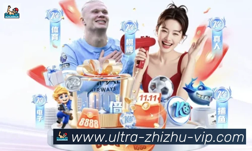奖项证书